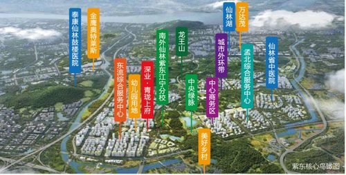 扎心 倒掛神盤收官售罄,板塊內置業門檻又將拔高